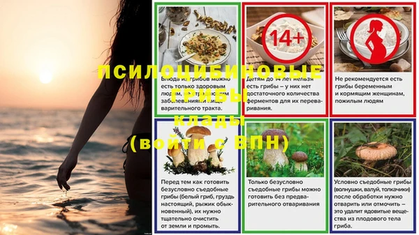 марки lsd Алексеевка