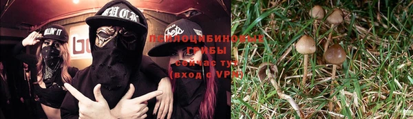 марки lsd Алексеевка