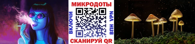 Галлюциногенные грибы Psilocybine cubensis  как найти закладки  Тосно 