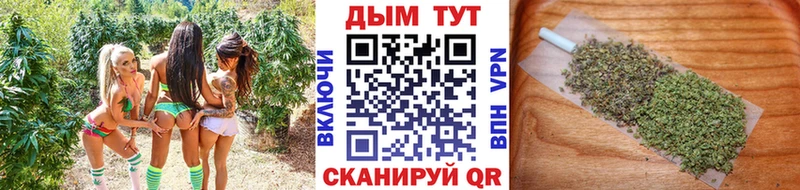 МАРИХУАНА индика  Тосно 
